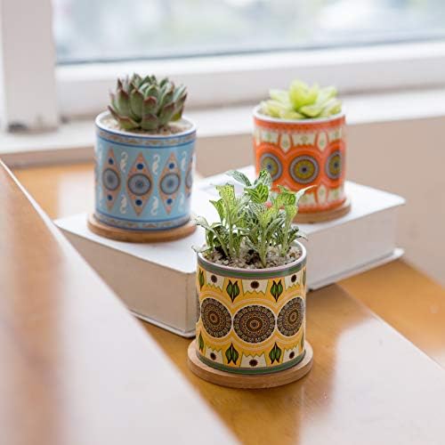 Колопт сукулентни садови за растенија - 3,1 инчен керамички сукулентен сад -цилиндричен садови за кактус со дренажа и бамбус лента, 6
