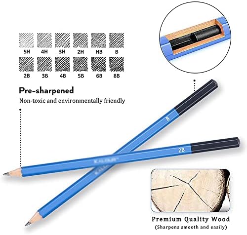 CXDTBH 60PCS/Поставете професионален скица молив со јаглен од јаглен од дрвена кутија за скици за скици дрвени поставени уметнички материјали