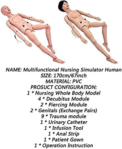Симулатор за обука на медицински сестри во Ханшилаи, човечки маникин анатомски модел Обука за обука за снабдување со полно работно
