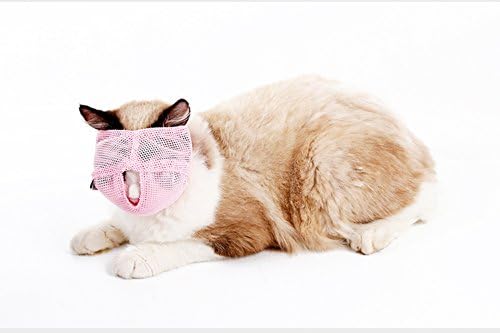 Музички мачки - Музички за дишење на мрежи спречуваат мачки да гризеат и да џвакаат - анти -залак анти -меоу
