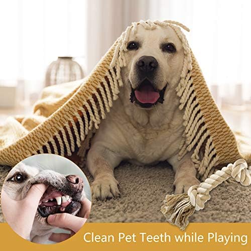 Петифин Куче Јаже Играчки За Агресивни Џвакачи, Тешки Куче Џвакање Јаже Играчки За Големи Средни Кучиња-3 Нозе 5 Јазли Тешка Интерактивна