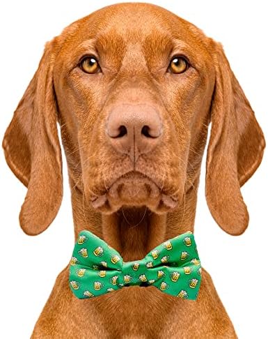 Cutie Ties Dog Bow Tie зелено пиво - 2 x 4 Премиум квалитетен лак врски за кучиња - фенси кучиња вратоврска со лизгање над еластичните