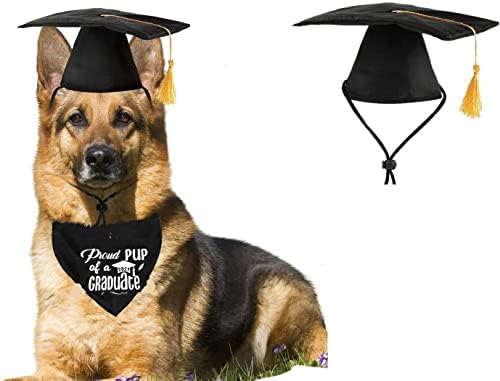 Капа за Дипломирање на кучиња Со Жолта Ресна
