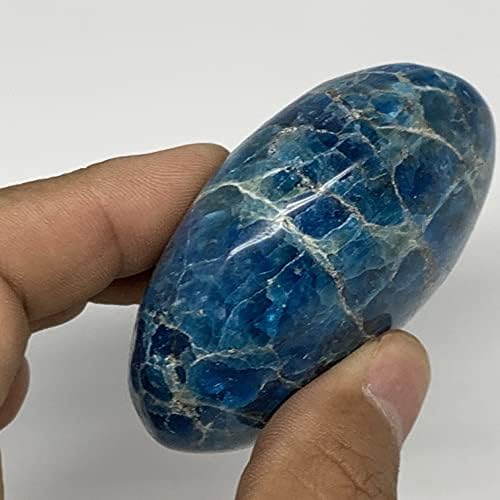 Watangems 169.9g, 2,6 x2 x1.2 , Синиот апатит палм-камен ја разгали енергијата на Реики, метафизички камен, од Мадагаскар, Б16353