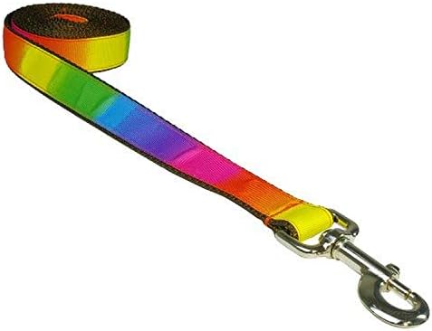 Xsmall Rainbow Dog Leash: 1/2 широк, должина од 4ft - направена во САД.
