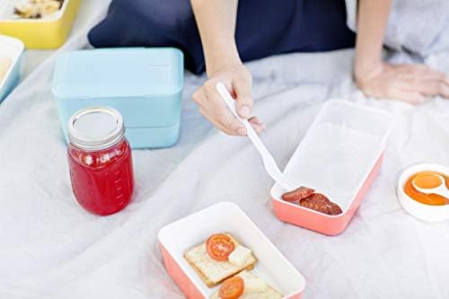 Takeaka Bento Cite Dual од, еколошки и одржлив јапонски стил бенто ручек кутија за ручек