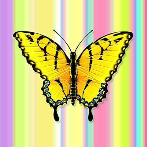 Со Хартиена 3Д Честитка-Пролетни Пеперутки-Сите Прилики, Жолто Сина Портокалова, 5.25 х 5.25