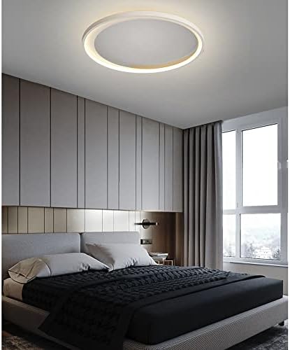 Неохијски светла, модерна едноставна таванска светлина, прилагодлива температура со три бои, тавански ламба со тркалезна уметност,