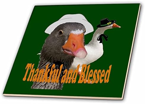 3дроза Благодарен И Благословен Денот На Благодарноста Аџија Патки Во Костим-Плочки