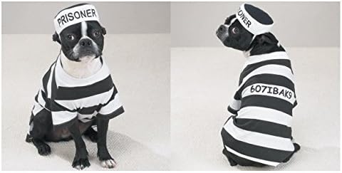 Обични кучешки затвори за кучиња го облекуваат вашето кученце како затвореник во ленти Изберете големина