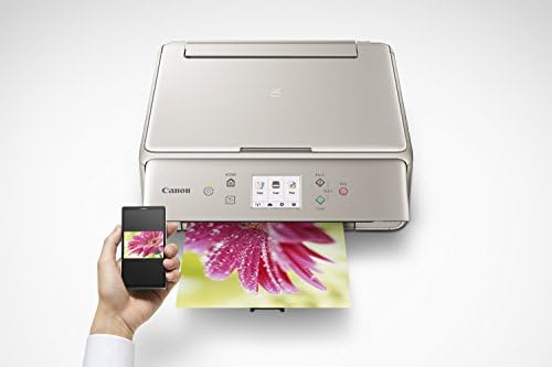 Канонски канцелариски производи Pixma TS6020 Gy безжичен печатач за фотографии во боја со скенер и копир, сива, работи за Alexa