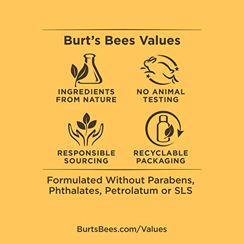 Пчелите на Бурт природно масло за чистење на лицето за нормална до сува кожа, 6 мл