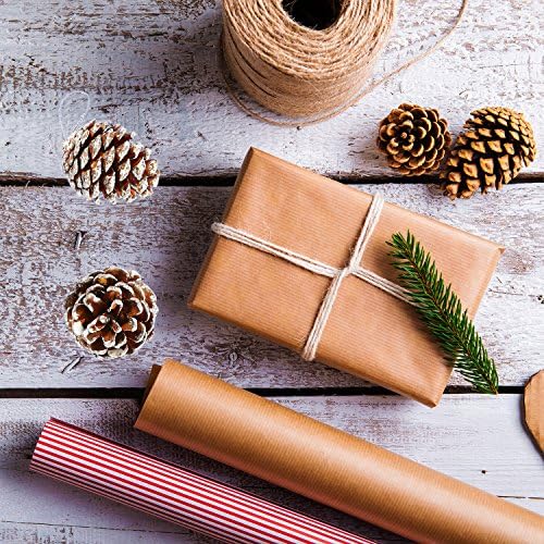 Коораби 24 парчиња Божиќни бор конуси украси Природни пинекуни со занаети за приврзоци за подароци за дар