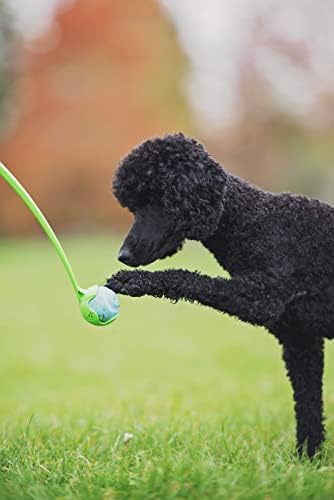 Чакит! Sport Ball Launcher 14s, фрлач на топки за играчки на отворено кучиња, за средни раси
