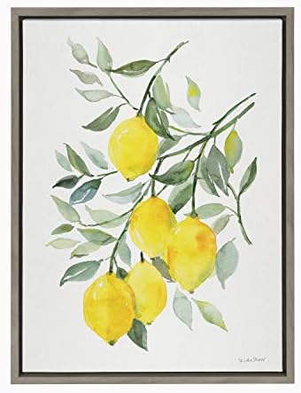 Кејт и Лорел Силви лимон агруми врамени платно wallидна уметност од Патриша Шоу, 18х24 Греј, декоративен овошен wallид
