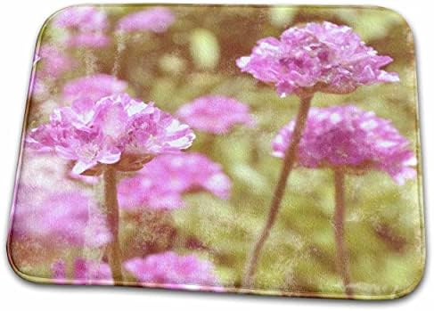 3дроза Гроздобер Розова Цветни Поле Цвет Фотографија - Бања Бања Килим Душеци