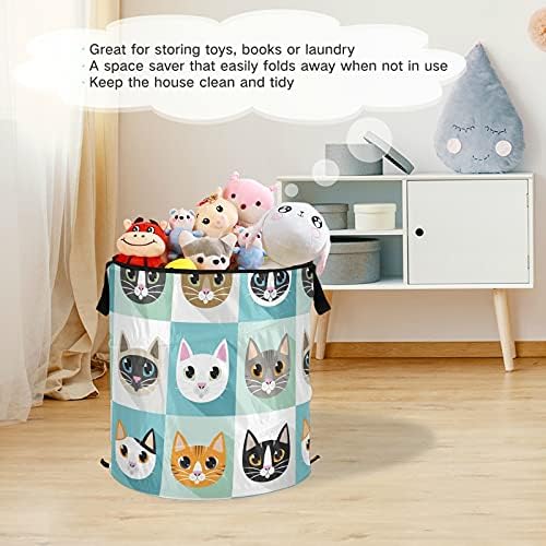 Симпатични мачки се појавуваат со алишта за перење со капакот за складирање на капакот за складирање на капакот за кампување за кампување домашна