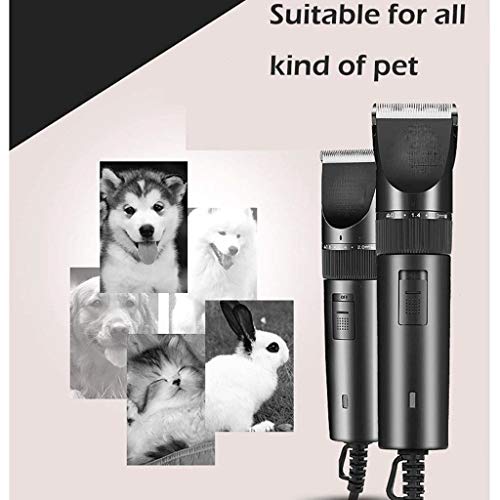 МАШИНИ ЗА Бричење Кучиња ЗЧАН Безжични Електрични Тивки Машинки За Коса Со Низок Шум Комплет За Кучиња Мачки Миленичиња