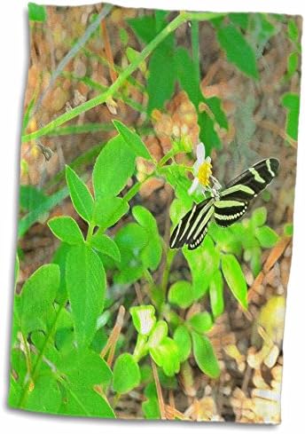 3дорозна флорен природа и животни - Бети пеперутка II - крпи