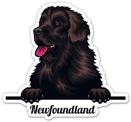Налепници за кучиња во Newуфаундленд - 2 пакувања од 3 налепници - водоотпорен винил за автомобил, телефон, шише со вода, лаптоп - Decуфаундленд
