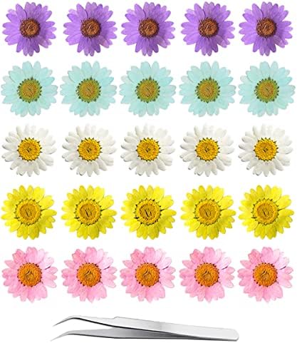 60 парчиња Виолетова Исушена Маргаритка Притиснато Цвеќе-Јутбро 60 парчиња Вистински Цвеќиња Од Природа Поставени За Смола Сам Накит