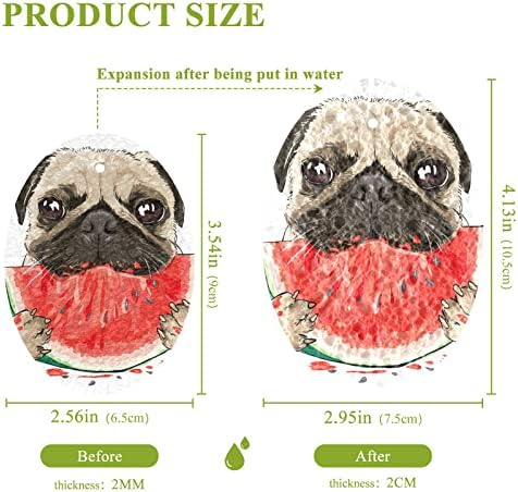 Алаза Смешно пиг куче лубеница природен сунѓер кујнски целулоза сунѓери за садови миење на бања и чистење на домаќинства, не-крик и еко пријателски,