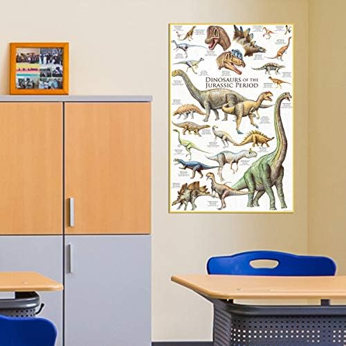 Еврографија диносауруси-јураски период постер, 36 x 24 инчи