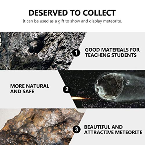Колекција за метеорит на метеоритски метеоритски метеоритски метеорит, литосидерит украс со кутија за лабораториска школа случајна кутија