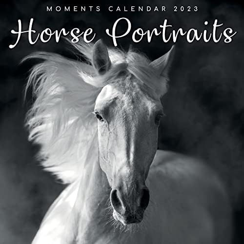 2023 Квадратен Ѕиден Календар, Портрети На Коњи, 16-Месечни Црно-Бели Фотографии со 180 Налепници За Потсетување