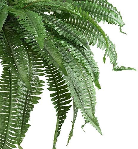Речиси Природен Кондензиран Или Висечки Вештачки Бостонски Папрат | Лажно Растение, Зелено, 48 Инчи, Комплет од 2