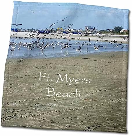 3drose Florene Beach - Слика на птици летаат над Ft Myers Beach Florida - крпи