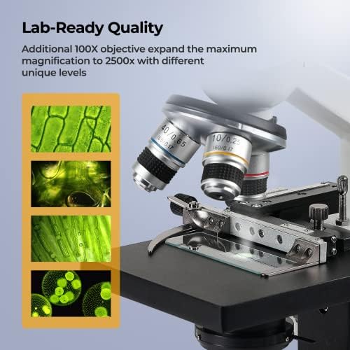 Микроскоп Со Подготвени Слајдови За Микроскоп