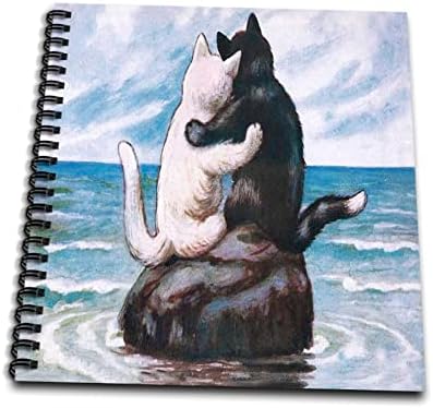 3drose слика на црна и бела мачка прегратка на карпа во морето - цртање книги