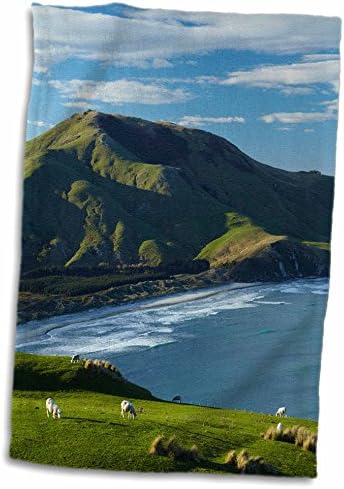 3drose овци, обработливо земјиште, Аланс Бич и планината Чарлс, Отаго, Нов Зеланд. - крпи