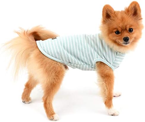 Платена облека за мали кучиња момче Девојче лето шарено кученце маица елек за дишење памук без ракави чивахуа Јоркшир, зелена, големина