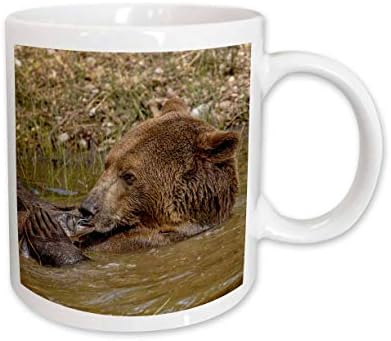 3дроза Данита Делимонт-Мечки - гризли мечка со риба, Кафеава мечка. - Чаши