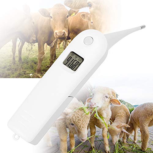 Професионален термометар за ветеринар на миленичиња, брз дигитален ветеринарен термометар, термометар за миленичиња за свињи кучиња овци, коњ